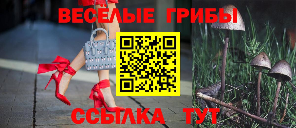 как найти наркотики  Вход с VPN  Куйбышев  Галлюциногенные грибы Cubensis  Псилоцибиновые грибы Magic Shrooms 